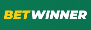 499win com